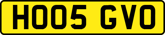 HO05GVO