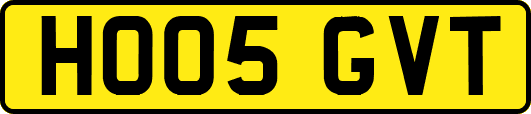 HO05GVT