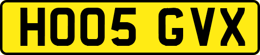 HO05GVX