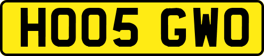 HO05GWO