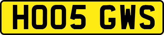 HO05GWS