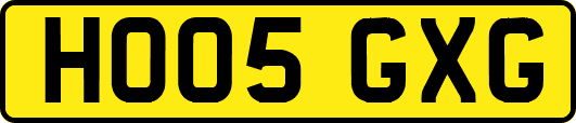 HO05GXG