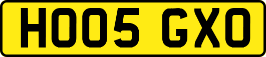 HO05GXO