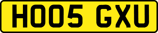 HO05GXU