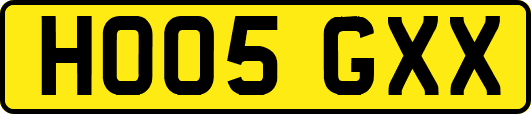 HO05GXX