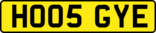 HO05GYE