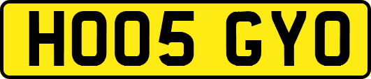 HO05GYO