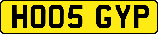 HO05GYP