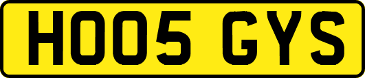 HO05GYS