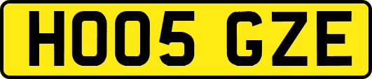 HO05GZE