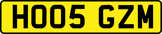 HO05GZM