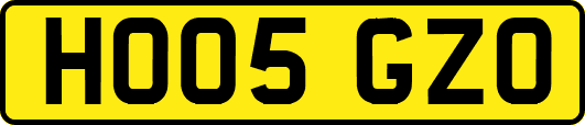 HO05GZO