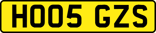HO05GZS