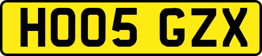 HO05GZX