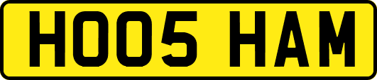 HO05HAM