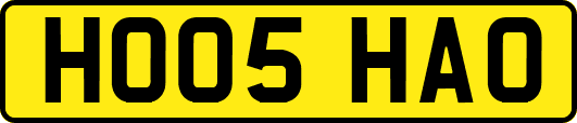 HO05HAO