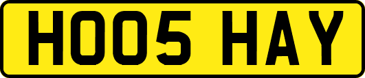 HO05HAY