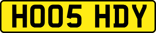 HO05HDY