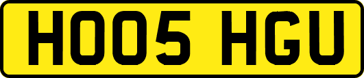HO05HGU