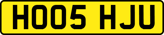 HO05HJU