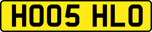 HO05HLO