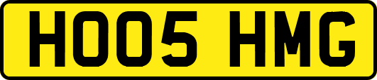 HO05HMG