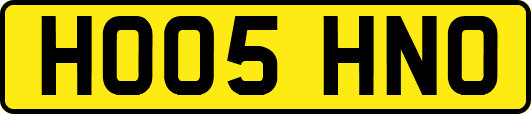HO05HNO