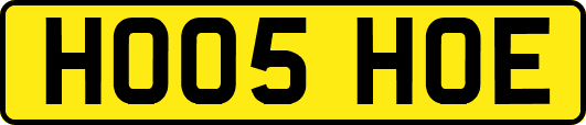 HO05HOE