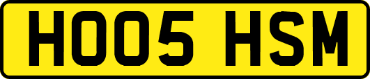 HO05HSM