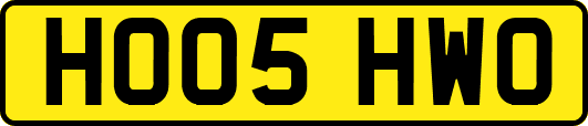 HO05HWO