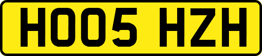 HO05HZH