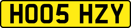 HO05HZY