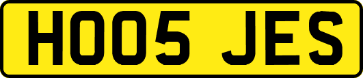 HO05JES