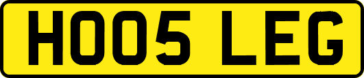 HO05LEG