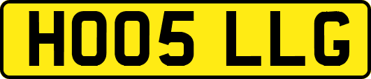 HO05LLG