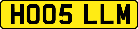 HO05LLM