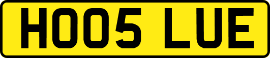 HO05LUE