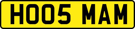 HO05MAM
