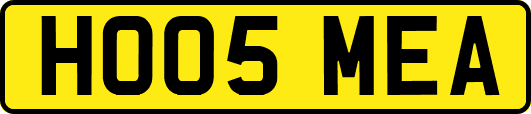 HO05MEA