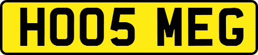 HO05MEG