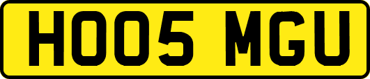 HO05MGU