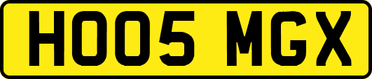 HO05MGX