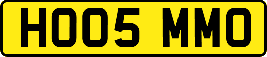 HO05MMO
