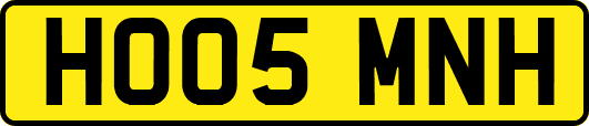 HO05MNH