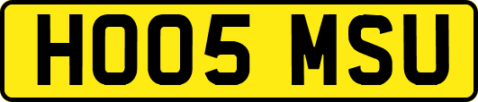 HO05MSU