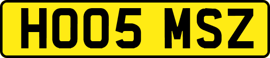 HO05MSZ