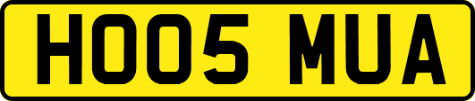HO05MUA