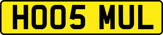HO05MUL