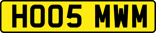 HO05MWM