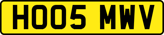 HO05MWV